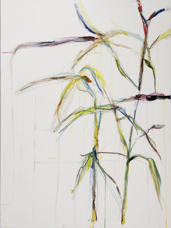 Bamboo (Field of Dreams)