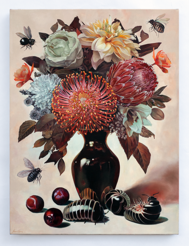Pincushion Protea