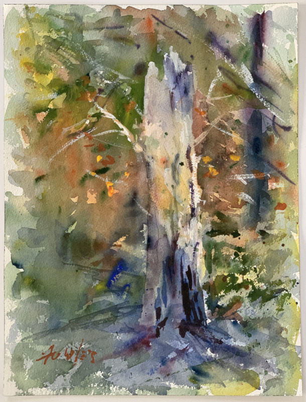 Lost Pine Study
