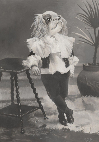 Young Cavalier