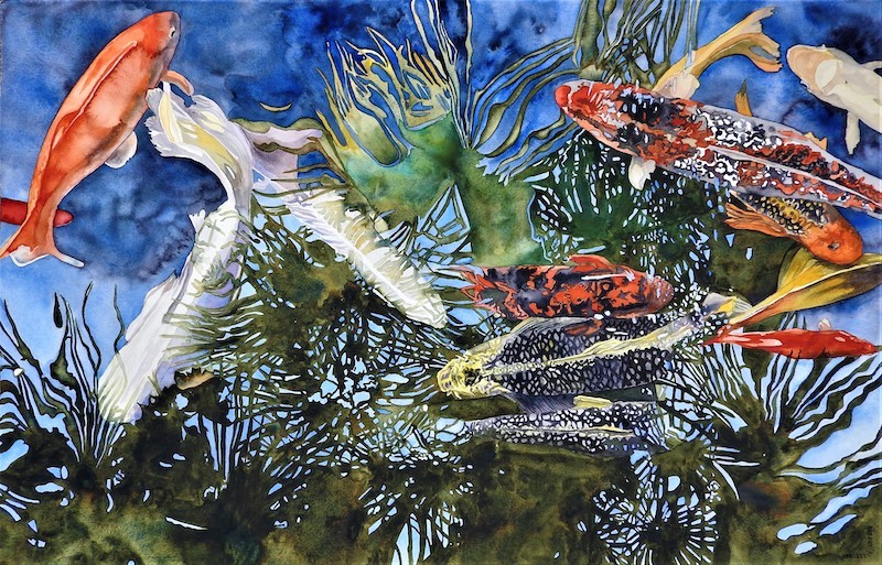 Koi and Reflections