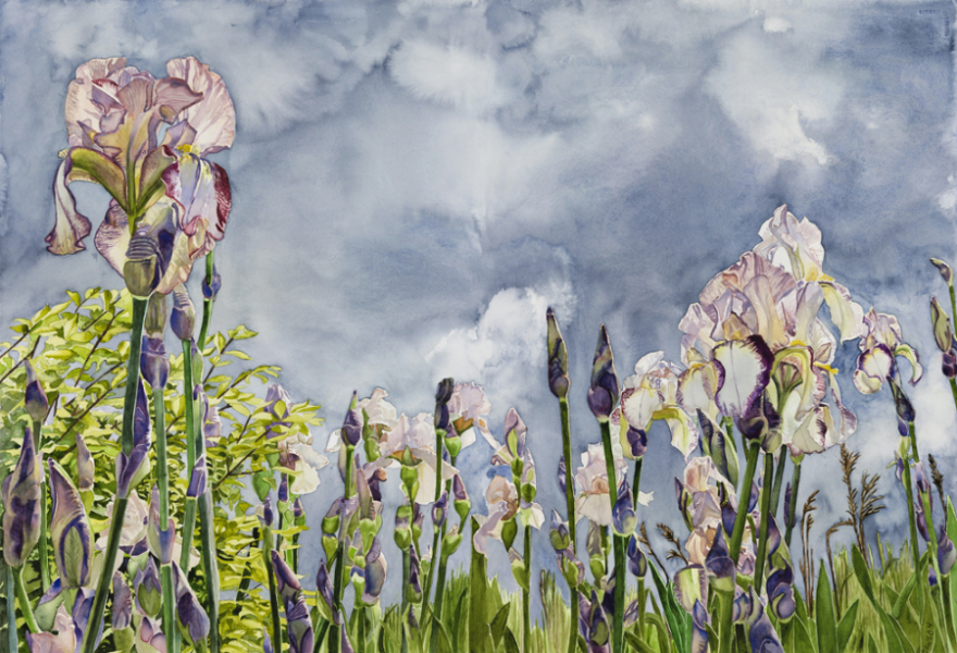 Storm Irisis
