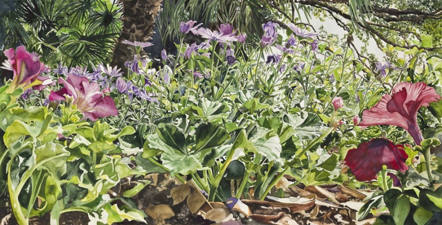 Zilker Petunias