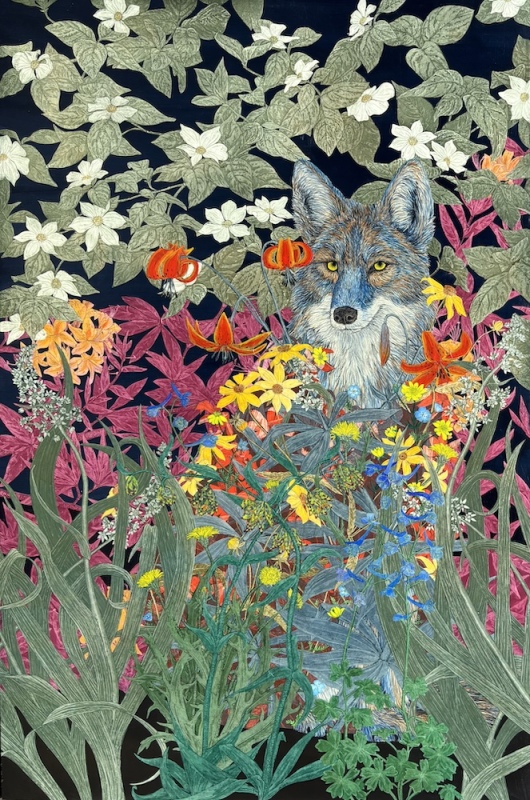 Coyote in Flower Robe