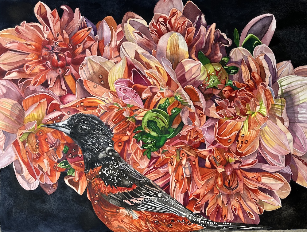 The Evolution of Orange Light