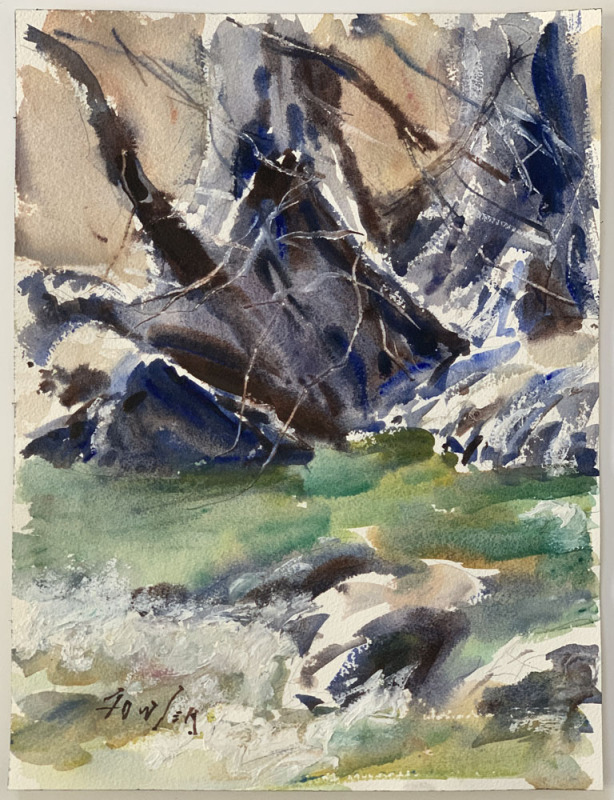 Onion Creek Study
