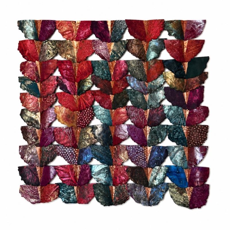 50 Butterflies