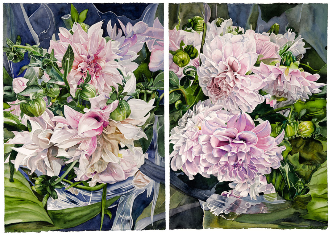 Pink Dahlias