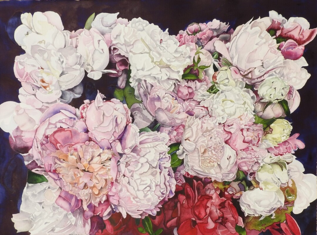 Multi Peonies