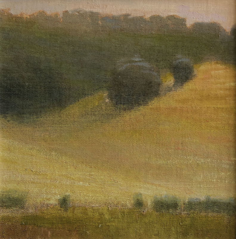 California Hillside