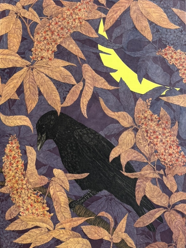 Crow in Buckeye Crow in Buckeye