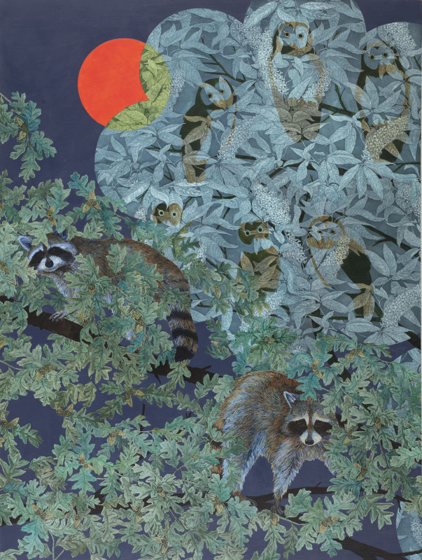Nighttime Treetops