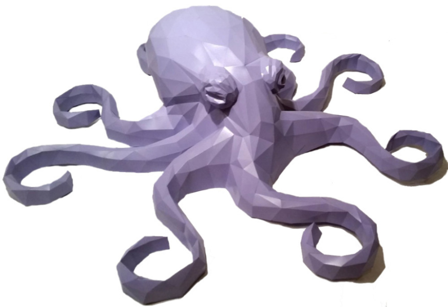 Octopus