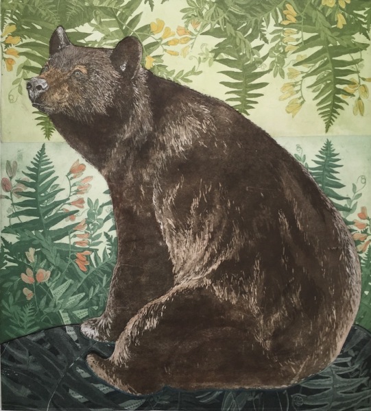Black Bear