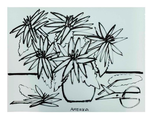 Echinacea Flowers