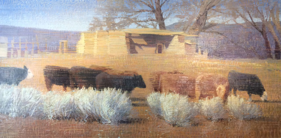 Old Adobe