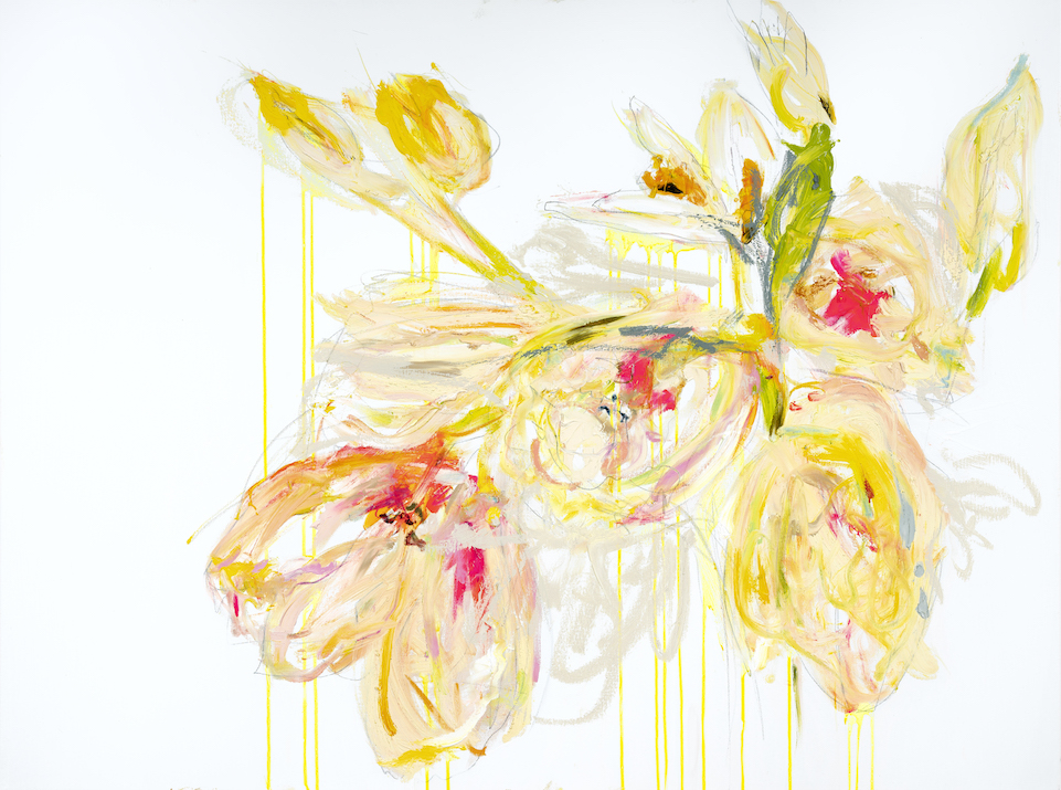 Parrot Tulips