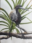 Percher: Tricolored Heron