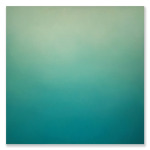 Silent Search No. 44