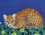 Ocelot