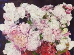 Multi Peonies