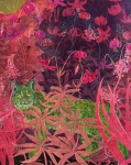 Bobcat on Magenta Morning