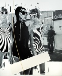 Tigers of Different Stripes