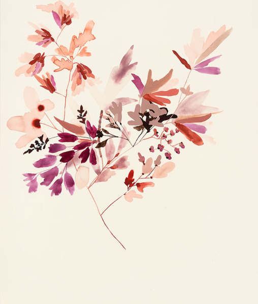 Wildflower Study XXI