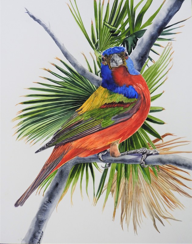 Palm Boy: Painted Bunting