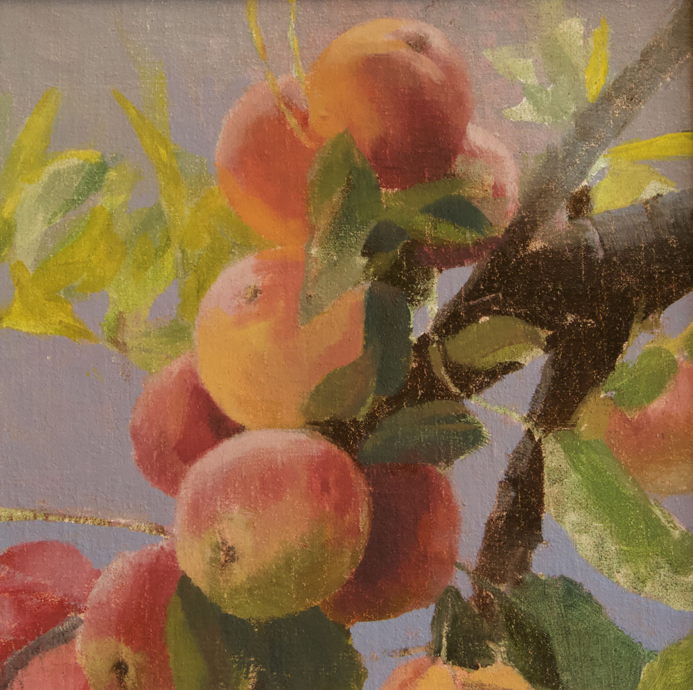 Abundance