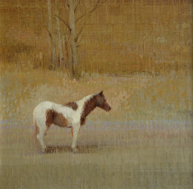 Study of Toledo