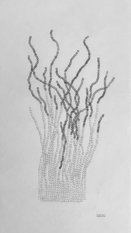 Waterline, Underwood Universal