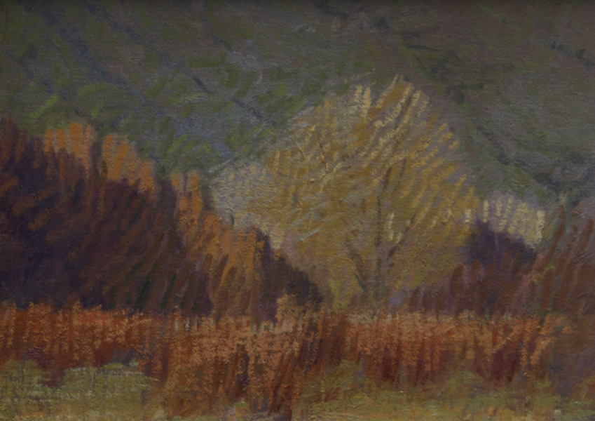 Fall Colors