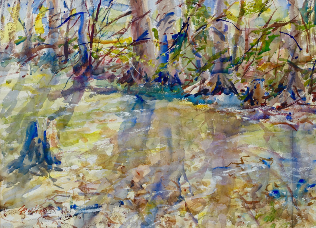 Morning Light on Onion Creek