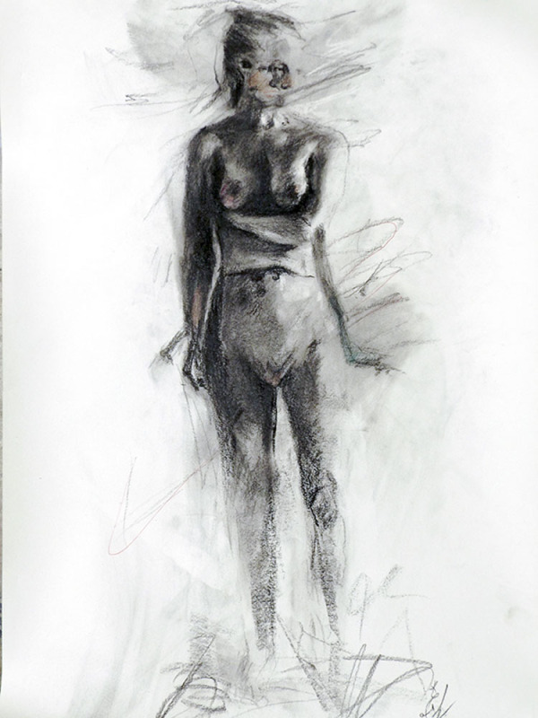 Muse VI