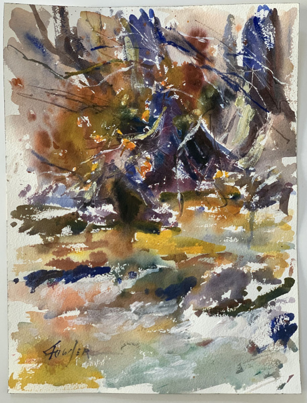November Creek Study