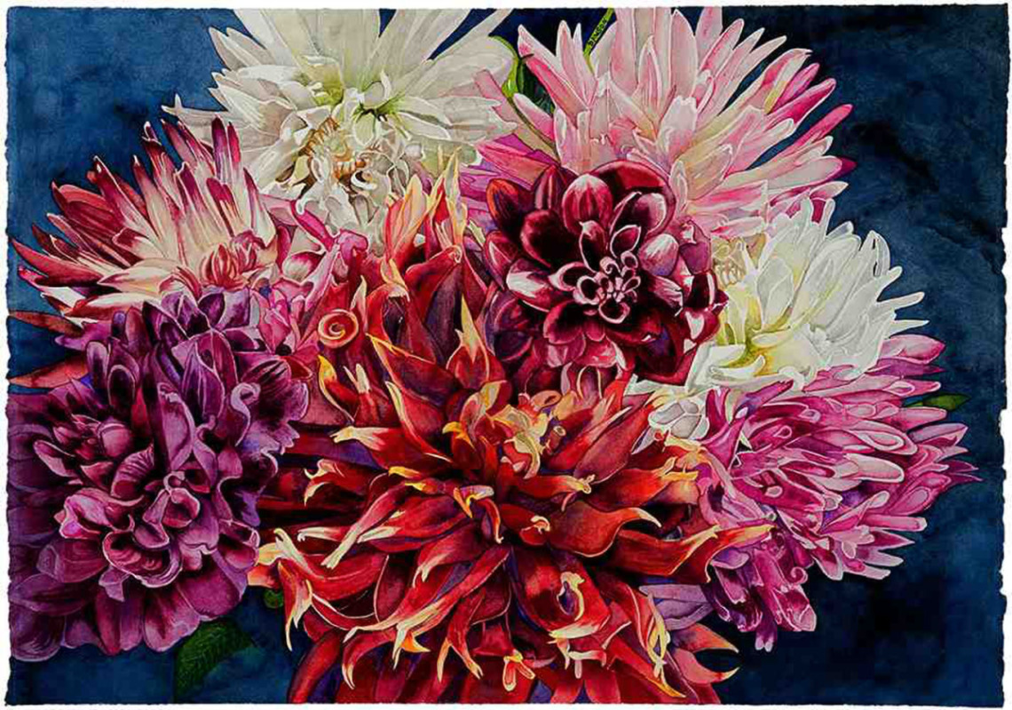 Dahlia Fireworks