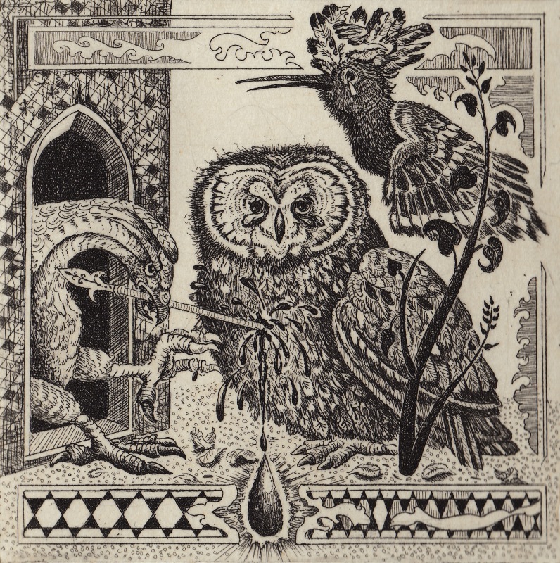 The Elimination of the Rare Owl