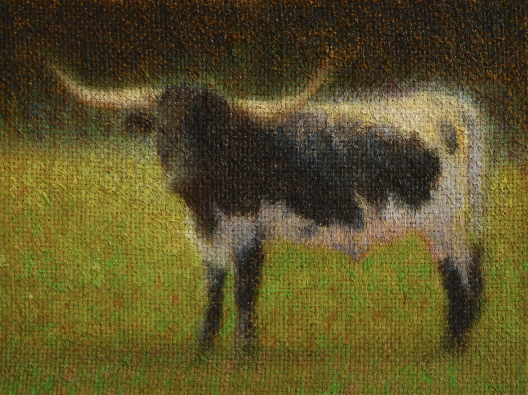 Longhorn