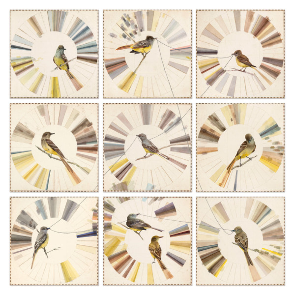 Bird Watching Through Spectroscopic Lenses: Great Crested Flycatchers