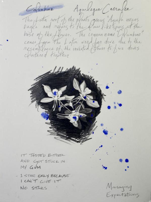 Managing Expectations, it Tastes Bitter