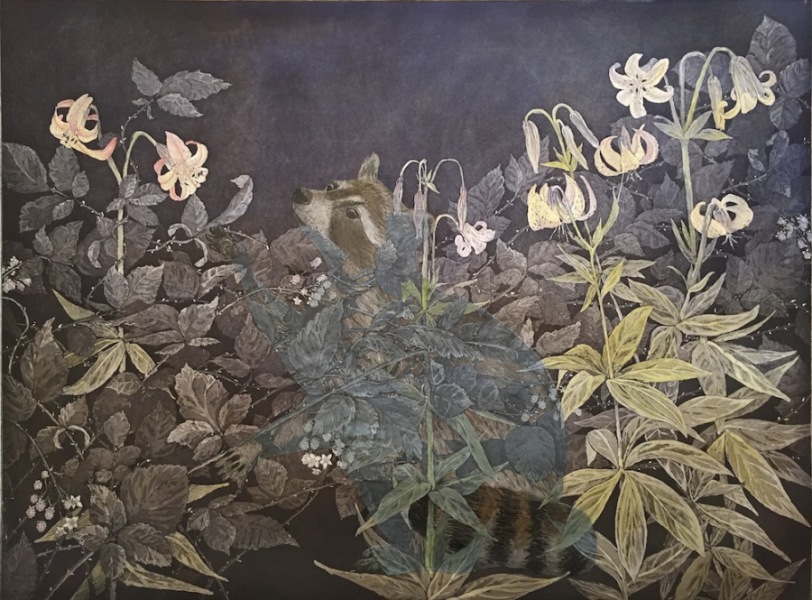 Golden Raccoon in Blackberries and Tiger Lilies