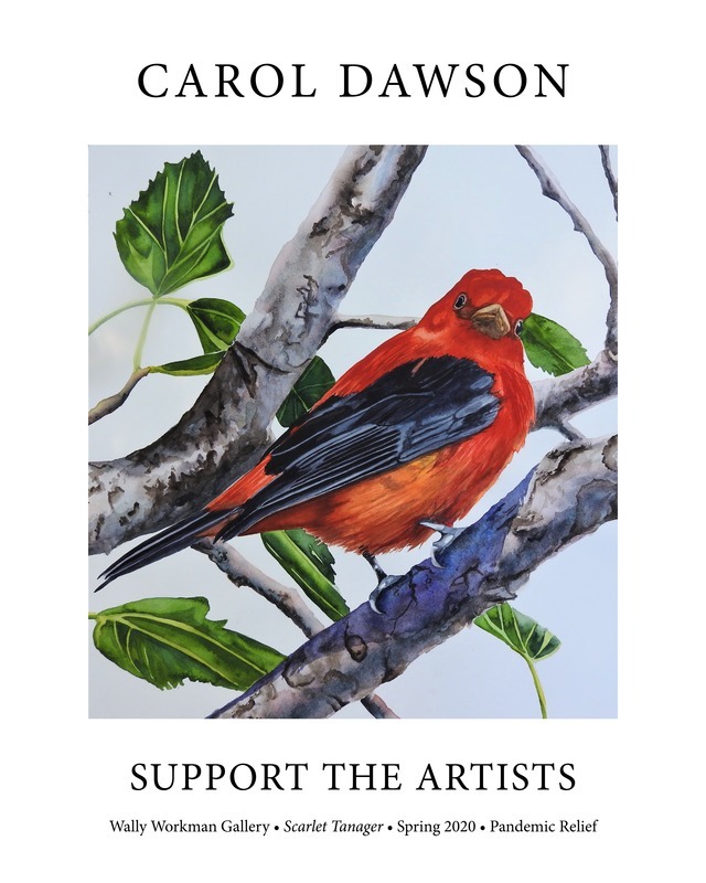 Carol Dawson, Support The Artists poster